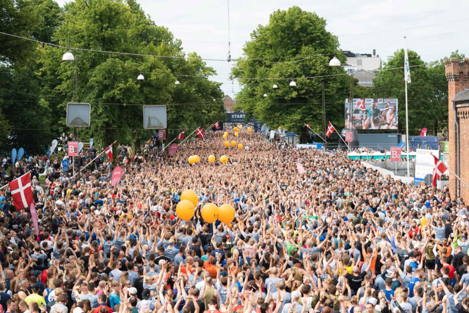 Aarhus crowd